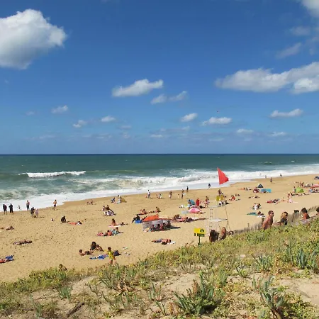 Apartamento Maria Callas By Interhome *